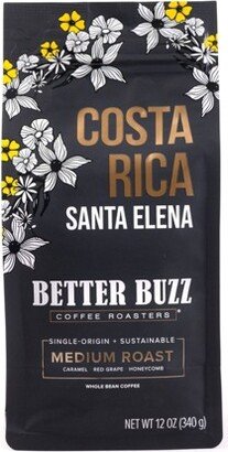 Better Buzz Coffee Better Buzz Costa Rica Santa Elena Medium Roast Coffee - 12oz