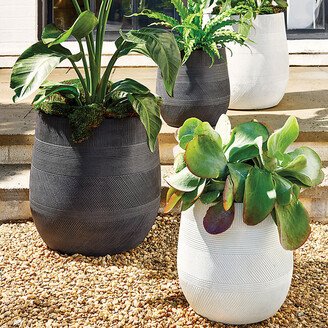 Monte Planter Medium