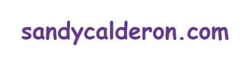 Sandy Calderon Promo Codes & Coupons