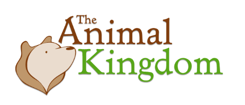 The Animal Kingdom Promo Codes & Coupons