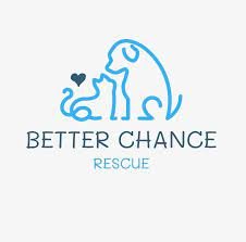 Better Chances Promo Codes & Coupons
