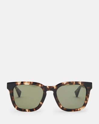 Phoenix Square Sunglasses-AB