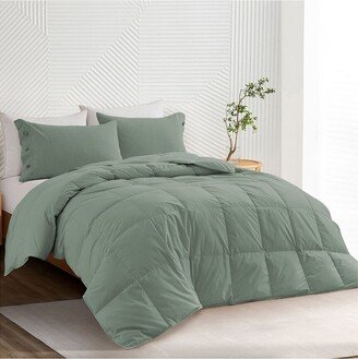 All-Season Organic Cotton Down Comforter