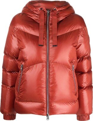 Padded Hooded Jacket-BK