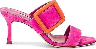 Gable Suede Mule in Pink