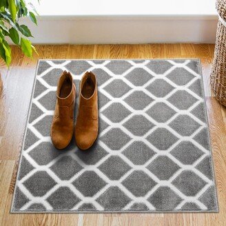 Sofihas Indoor Floor Mat, Non-Slip Machine Washable Entrance Carpet Farmhouse Dirt Repellent Entrance Carpet Whıte/Gray