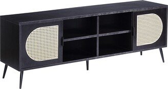 Colson 2-door TV Stand in Black