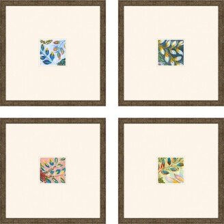 Paragon Picture Gallery Botanical Iii Framed Art, Set of 4