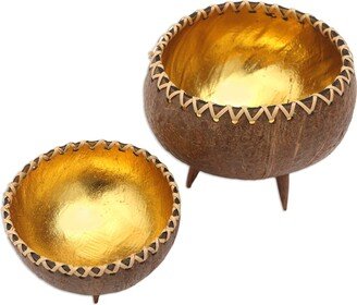 Handmade Gleaming Duo Decorative Coconut Shell Bowls