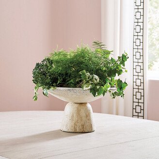 Remi Tabletop Planter