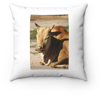 Dwarf Zebu Pillow - Throw Custom Cover Gift Idea Room Decor