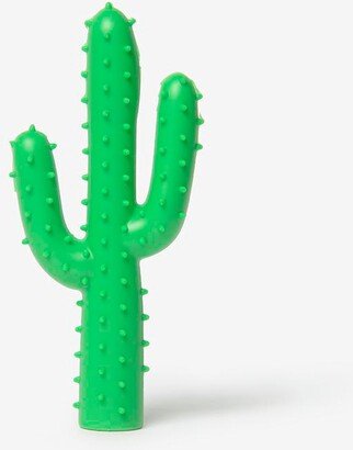 Dog Silly Succulent Toy Cactus