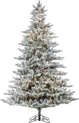 Sterling Tree Company 7.5Ft High Flocked Pre-Lit Natural Cut Redwood Pine With Warm White Led Lights