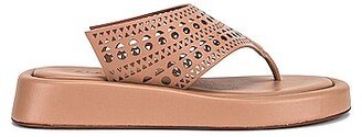 Vienne Thong Platform Sandals in Mauve