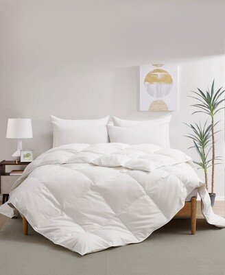 360 Thread Count All Season Box Quilted White Goose Down and Feather Fiber Comforter, Full/Queen