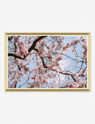 Lulu and Georgia Spring Tones Photography Print