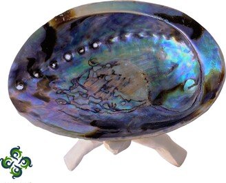 Abalone Shell With Stand, Seashell Incense Burner For Holding Herb Sticks, Incense, Smudge Crafts, Displays,