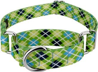 Country Brook Petz Margarita Argyle Martingale Dog Collar (1 Inch, Large)