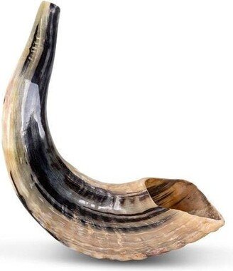 Jewish Ram's Horn Shofar Classic Natural Handmade, 12