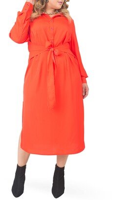 Tie Waist Long Sleeve Midi Dress