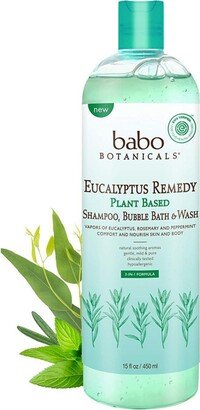 Shampoo & wash eucalyptus Remdy - 1 Each-15 Oz