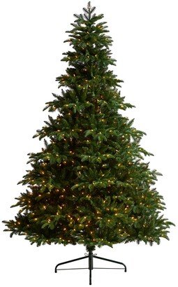 South Carolina Spruce Artificial Christmas Tree with 700 Warm Lights and 3412 Bendable Branches, 8'