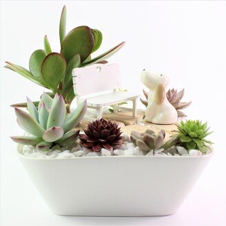 Bench in The Park With Porcelain Figurine | Live Succulent Arrangement New Baby Gift Christmas Present Mini Fairy Garden |Indoor Decor