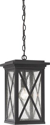 Alder & Ore Clark Outdoor Pendant Light