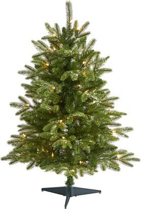 Snowed Grand Teton Fir Artificial Christmas Tree with Lights and Bendable Branches, 36