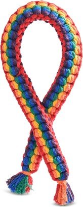 Rainbow Rope Dog Toy