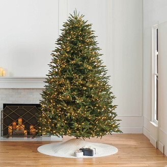 Windsor Noble Fir Full Profile Tree