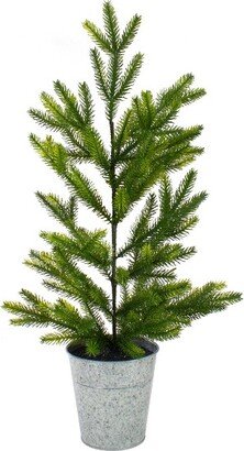 Northlight 2' Potted Pine Medium Artificial Christmas Tree – Unlit