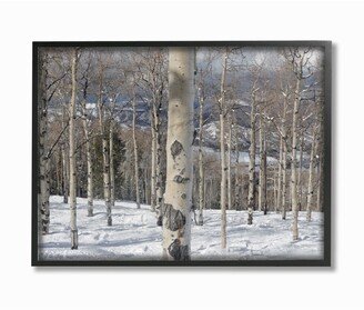 Winter Birches Photography Framed Giclee Art, 16 x 20