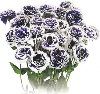 Cut Flower Seeds Lisianthus Celeb 2 Turn Blue 25 Pelleted