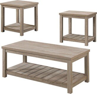 3 Piece Coffee and End Table Set-AA