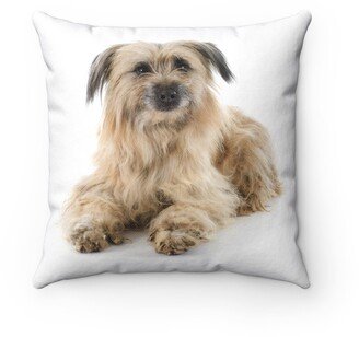 Pyrenean Shepherd Pillow - Throw Custom Cover Gift Idea Room Decor