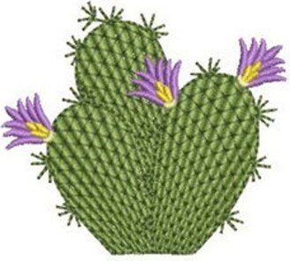 Fun Cactus Embroidered Waffle Weave Towel