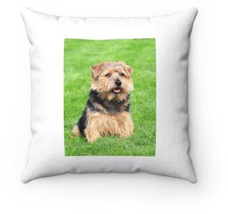 Norfolk Terrier Pillow - Throw Custom Cover Gift Idea Room Decor