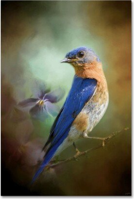 Jai Johnson 'Portrait Of A Bluebird' Canvas Art - 24 x 16 x 2