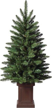 3.5' Unlit Potted Berkeley Fir Artificial Christmas Tree