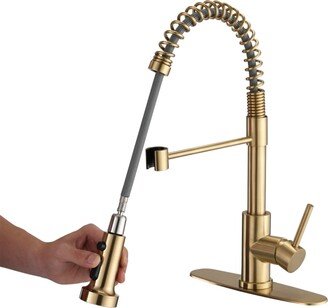 Simplie Fun Pull Down Sprayer Spring Kitchen Sink Faucet Brushed Gold