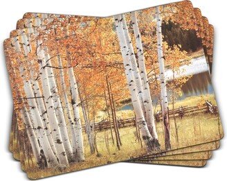 Birch Beauty Placemats, Set of 4