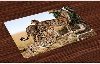 Africa Place Mats, Set of 4