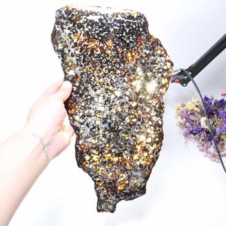 Beautiful Sericho Pallasite Meteorite Slice - From Kenya D3159