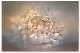 Jai Johnson 'Blushing Silver And Gold Peony' Canvas Art - 32 x 22 x 2