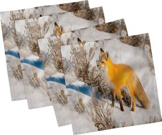 Fox Set of 4 Napkins, 18