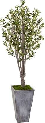 6' Olive Artificial Tree in Stone Planter