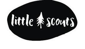 Little Scouts Promo Codes & Coupons