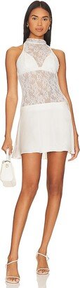 x REVOLVE Stanford Lace Mini Dress