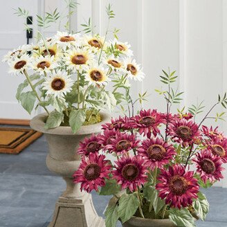 Garden Sunflower Urn Filler